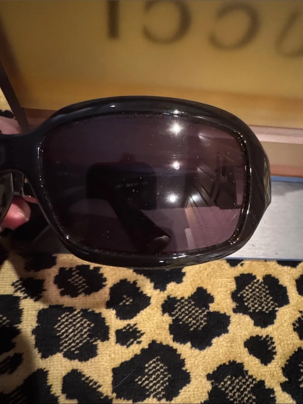 Fendi Brown Gloss Oversized Women's Sunglasses